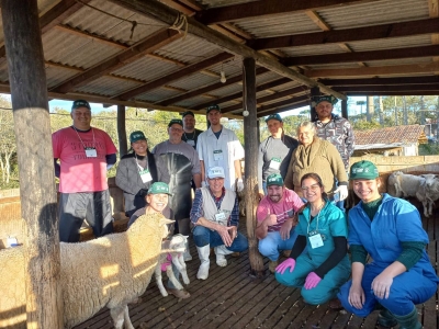 Curso de ovinocultura de corte foi realizado em Contenda
