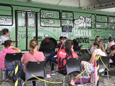 CASTRAÇÃO CONTENDA 2