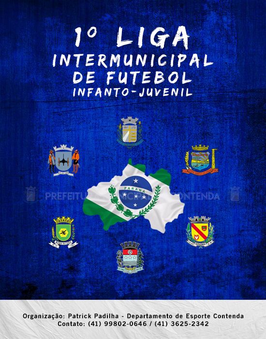1ª LIGA INTERMUNICIPAL DE FUTEBOL INFANTOJUVENIL
