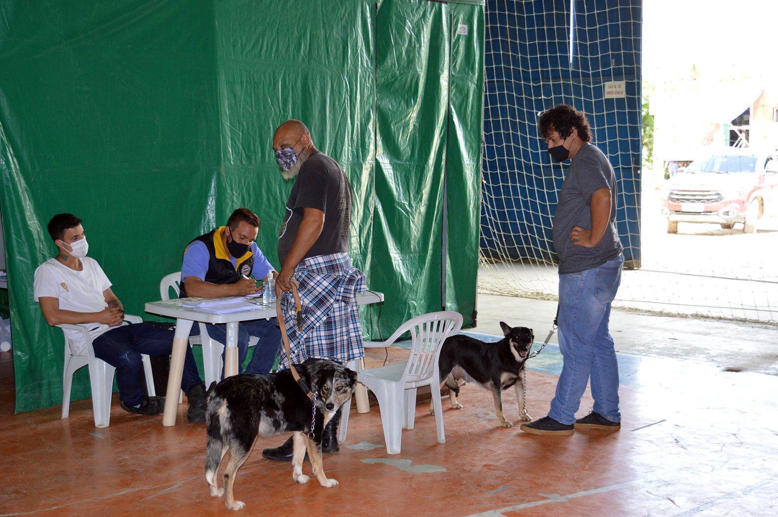 Contenda fez a castração de animais