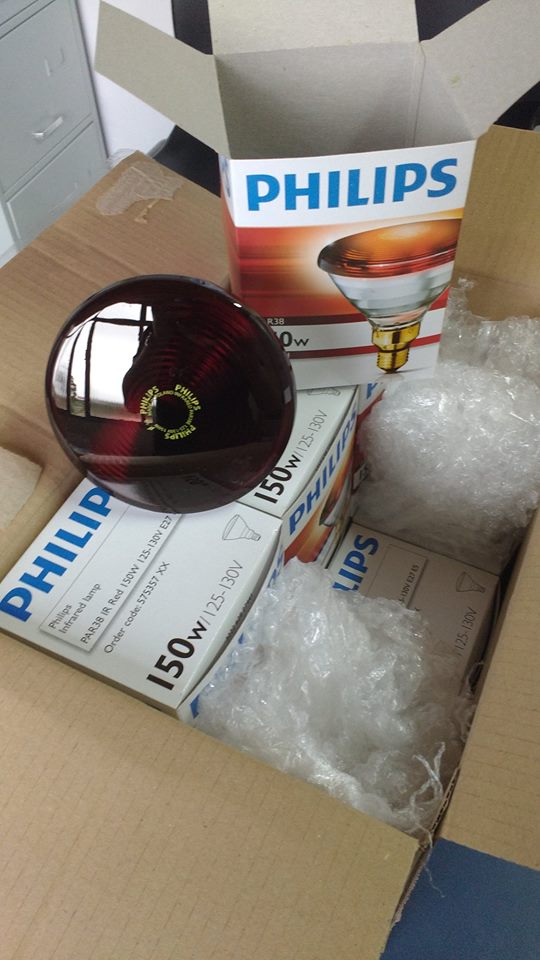 Secretaria de Saúde renova equipamentos de fisioterapia