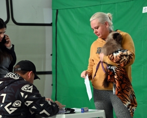 castrapet-contenda-1