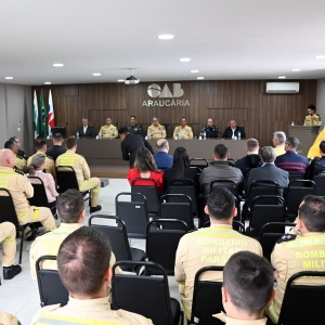 bombeiro-araucaria-8