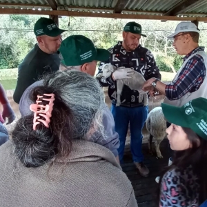 curso-ovinocultura-2