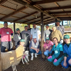 curso-ovinocultura_(386)