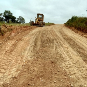 estrada-macacos_(758)