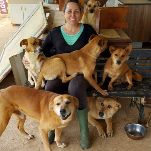 protetores-animais-1