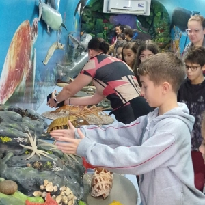 vida-marinha-1_(680)