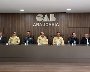 bombeiro-araucaria-1.jpg