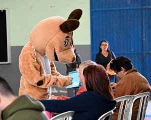 castrapet-contenda-3.jpg