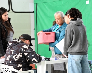 castrapet-contenda-6.jpg