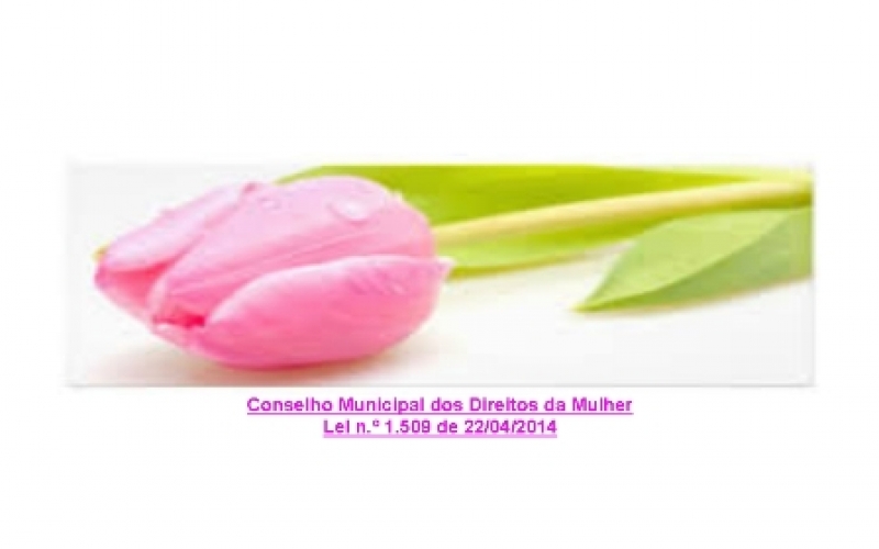 Criado o Conselho Municipal dos Direitos da Mulher